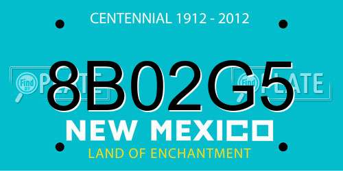 8B02G5 New Mexico License Plate
