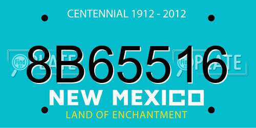 8B65516 New Mexico License Plate
