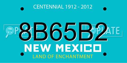 8B65B2 New Mexico License Plate