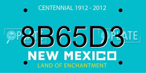 8B65D3 New Mexico License Plate