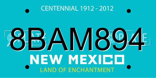 8BAM894 New Mexico License Plate