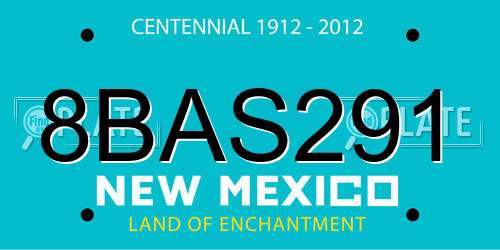 8BAS291 New Mexico License Plate
