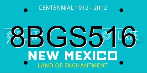 8BGS516 New Mexico License Plate