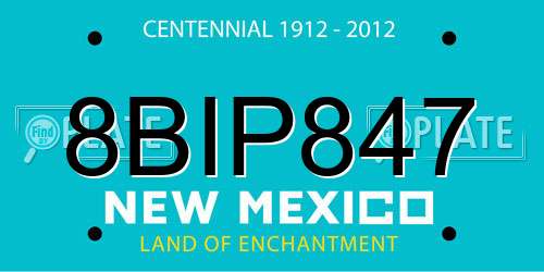 8BIP847 New Mexico License Plate