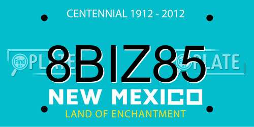 8BIZ85 New Mexico License Plate