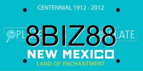 8BIZ88 New Mexico License Plate