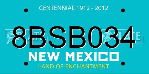 8BSB034 New Mexico License Plate