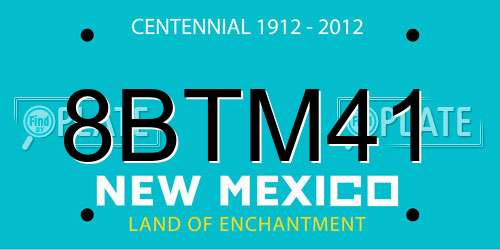 8BTM41 New Mexico License Plate