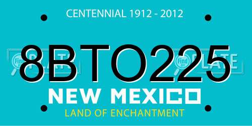 8BTO225 New Mexico License Plate