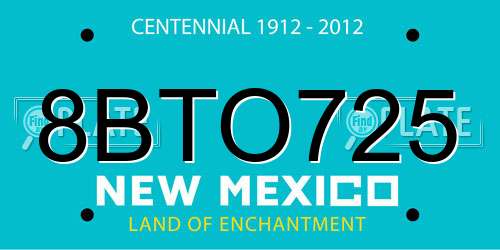 8BTO725 New Mexico License Plate