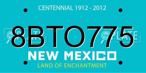 8BTO775 New Mexico License Plate