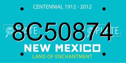8C50874 New Mexico License Plate