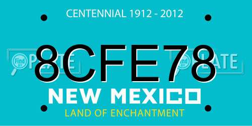 8CFE78 New Mexico License Plate