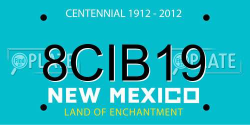 8CIB19 New Mexico License Plate