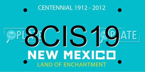 8CIS19 New Mexico License Plate