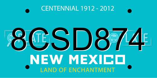 8CSD874 New Mexico License Plate