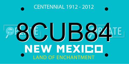 8CUB84 New Mexico License Plate