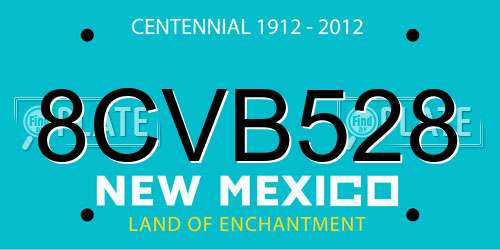 8CVB528 New Mexico License Plate