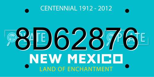 8D62876 New Mexico License Plate