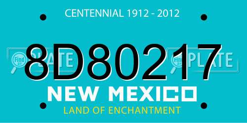 8D80217 New Mexico License Plate