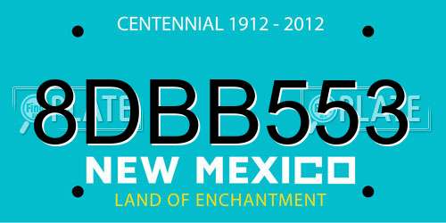 8DBB553 New Mexico License Plate