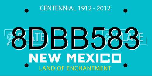 8DBB583 New Mexico License Plate