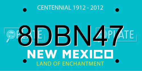 8DBN47 New Mexico License Plate