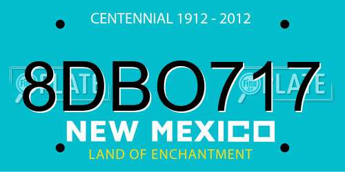 8DBO717 New Mexico License Plate