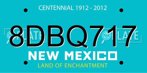 8DBQ717 New Mexico License Plate