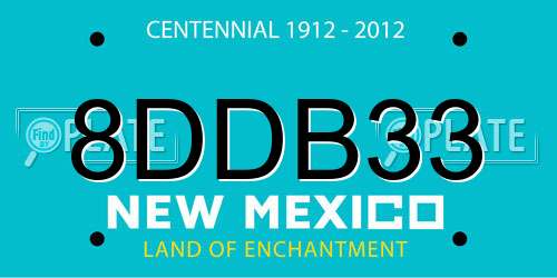8DDB33 New Mexico License Plate