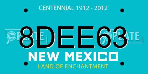 8DEE63 New Mexico License Plate