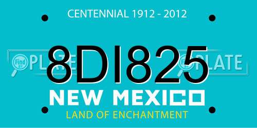 8DI825 New Mexico License Plate