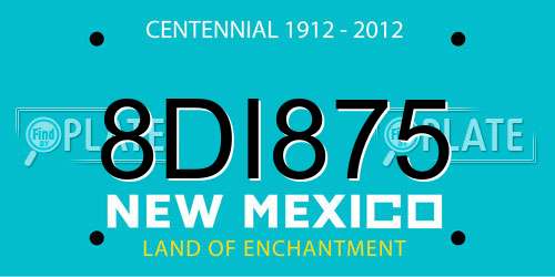 8DI875 New Mexico License Plate