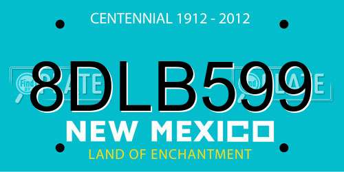 8DLB599 New Mexico License Plate