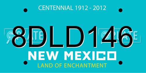 8DLD146 New Mexico License Plate