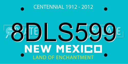 8DLS599 New Mexico License Plate