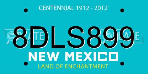 8DLS899 New Mexico License Plate