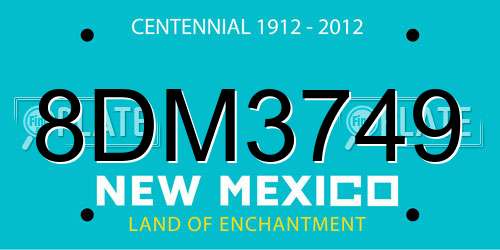 8DM3749 New Mexico License Plate