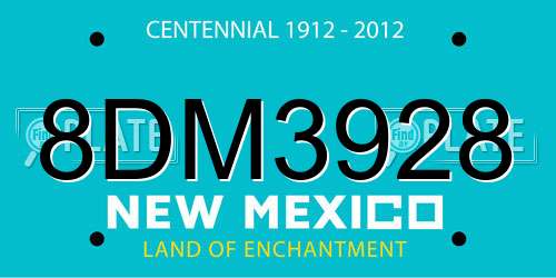 8DM3928 New Mexico License Plate