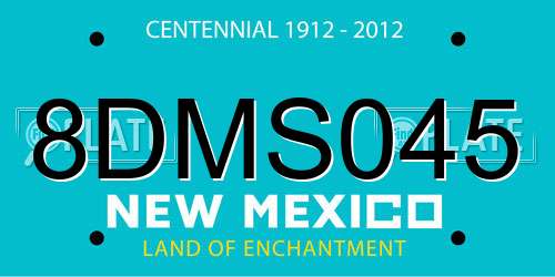 8DMS045 New Mexico License Plate