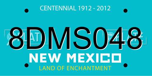 8DMS048 New Mexico License Plate