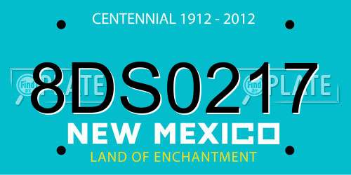 8DS0217 New Mexico License Plate