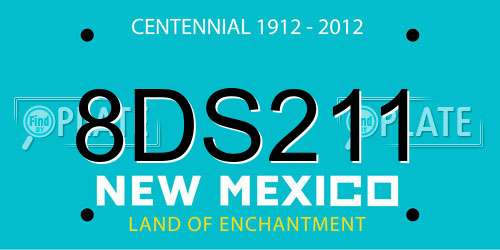 8DS211 New Mexico License Plate
