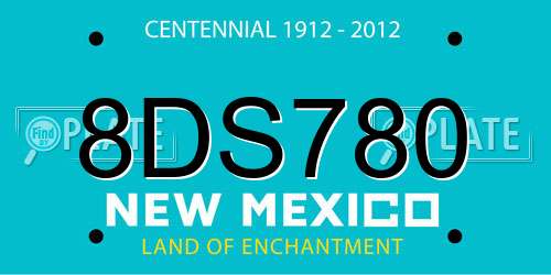 8DS780 New Mexico License Plate