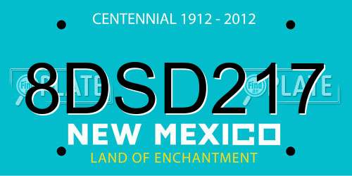 8DSD217 New Mexico License Plate