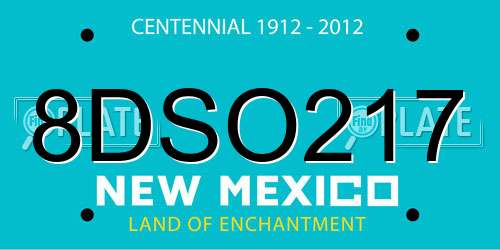 8DSO217 New Mexico License Plate