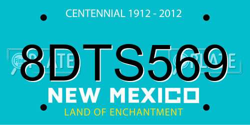 8DTS569 New Mexico License Plate