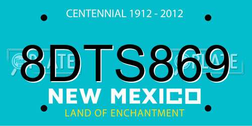 8DTS869 New Mexico License Plate
