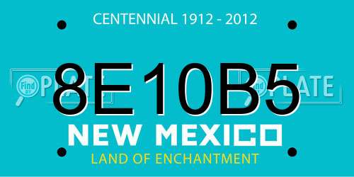 8E10B5 New Mexico License Plate