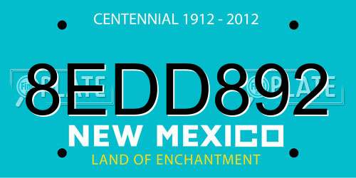 8EDD892 New Mexico License Plate